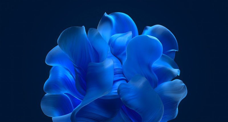 Фон виндовс 11