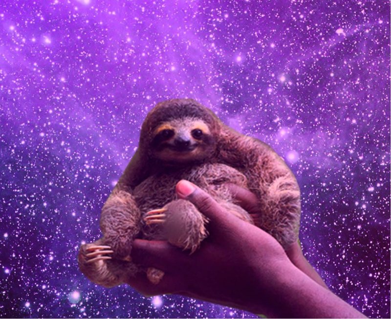 Ленивец в космосе