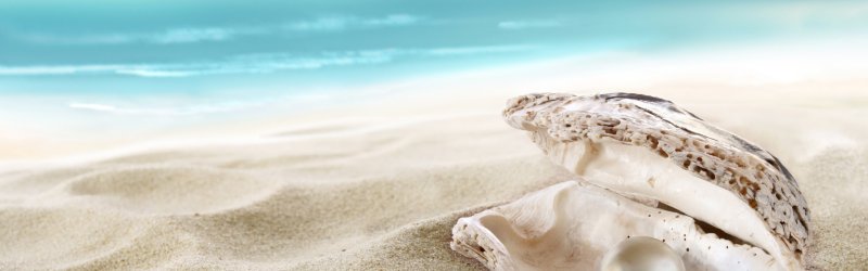 Жемчуг в ракушке