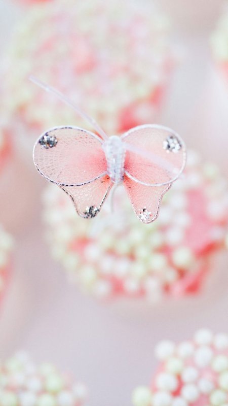 Красивые обои на телефон