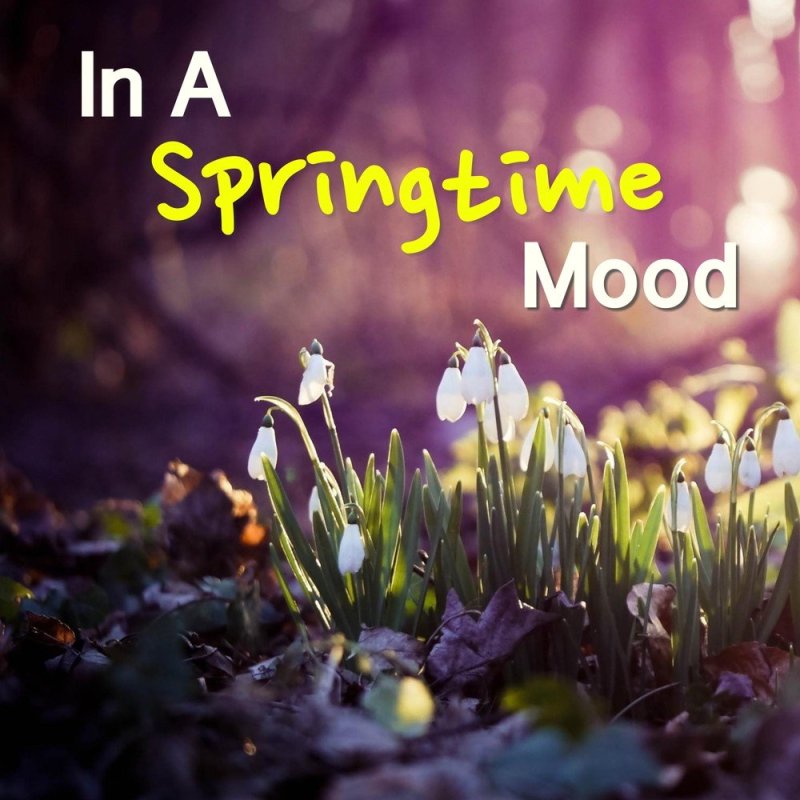 Весенние цветы