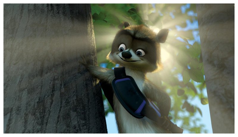 Лесная братва мультфильм енот