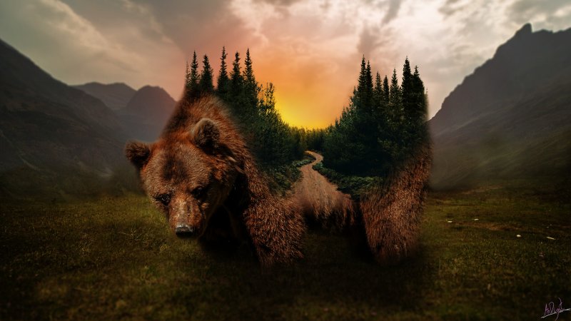 Медведь в лесу