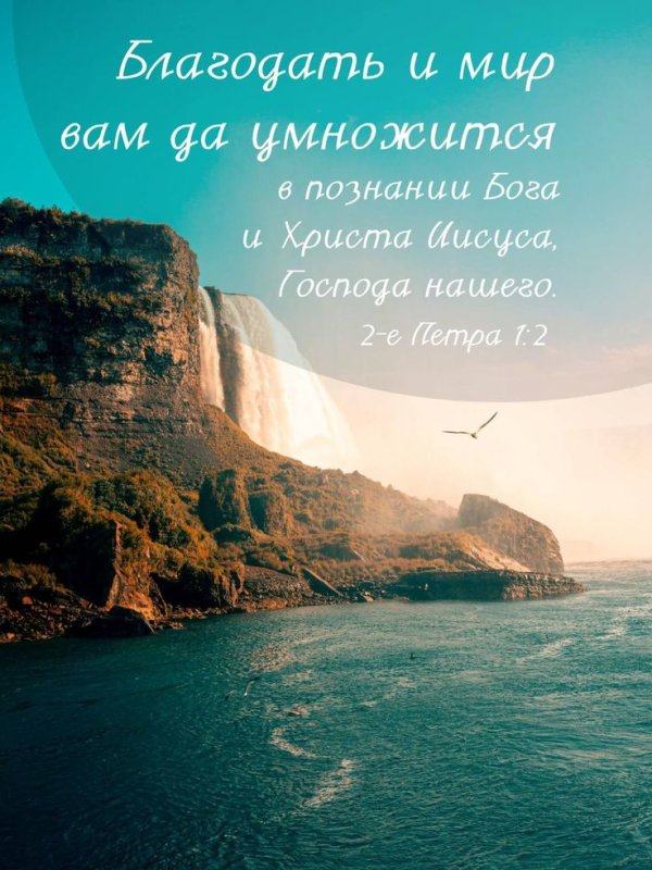 Вид на море с горы