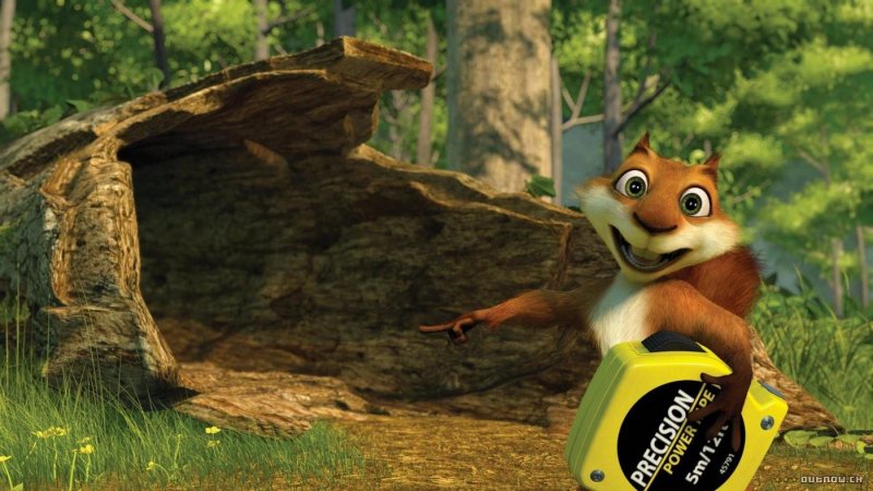 Белка Хэмми