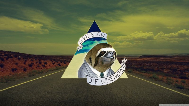 Картинки на рабочий стол Ленивец