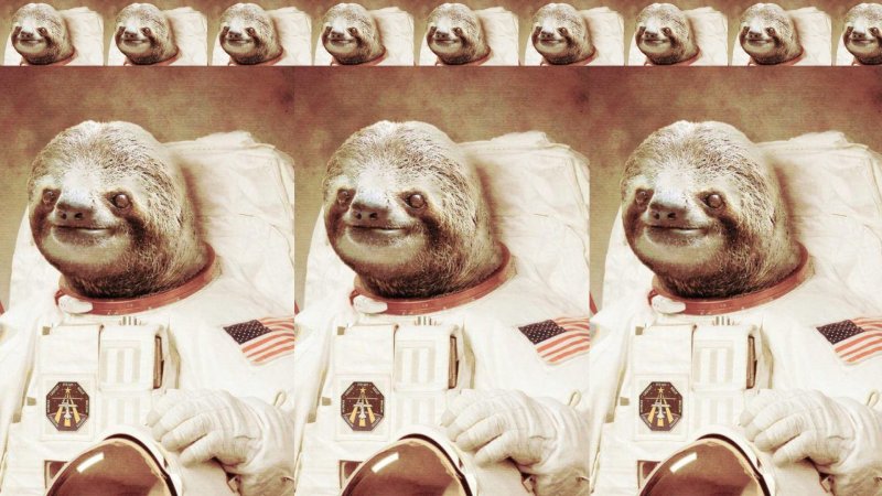 Ленивец в космосе