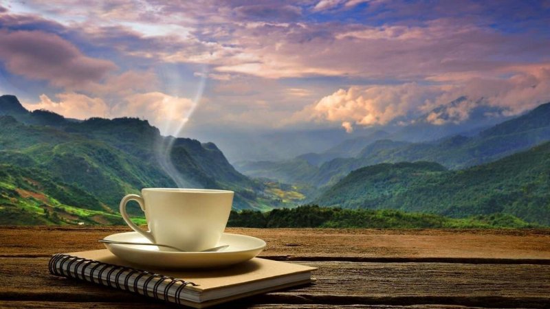 Кофе в горах