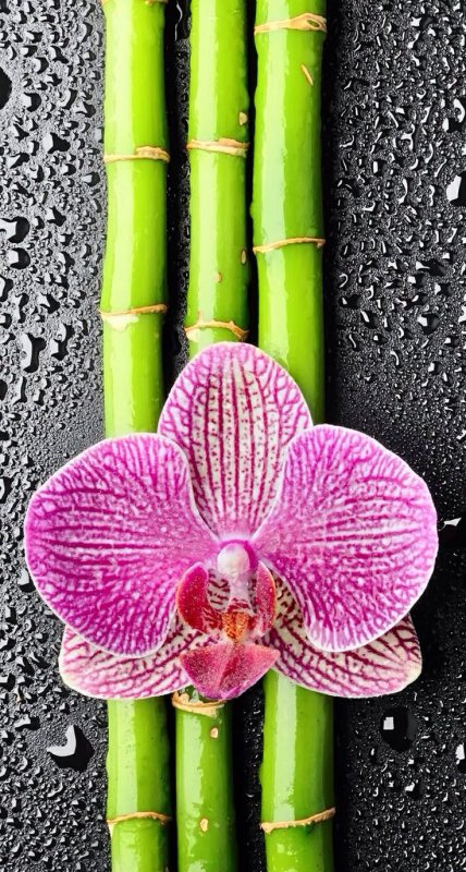 Фон для телефона