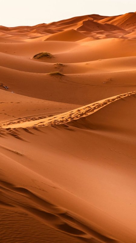 Барханы и дюны