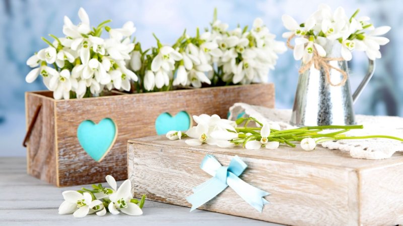 Нежная Весна