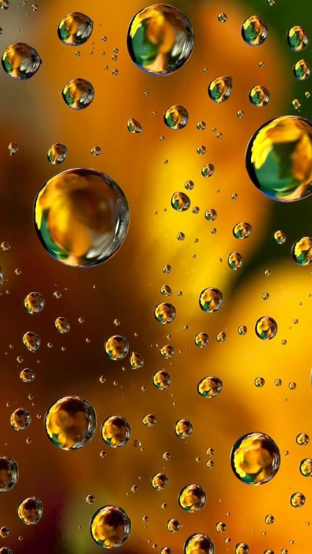 Фотообои на экран смартфона