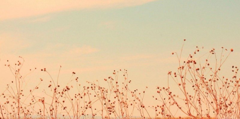 Красивые шапки для твиттера