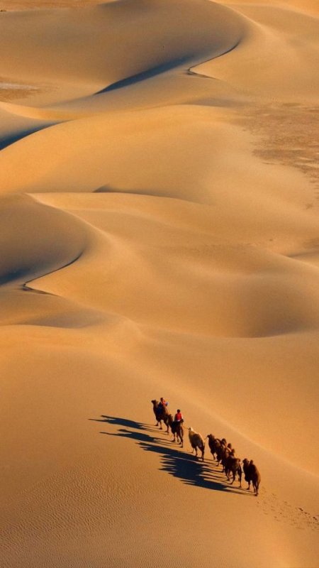 Красивая пустыня