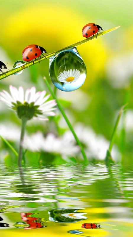 Фотообои лето