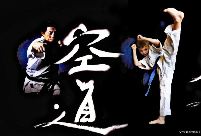 КУДО Дайдо Дзюку