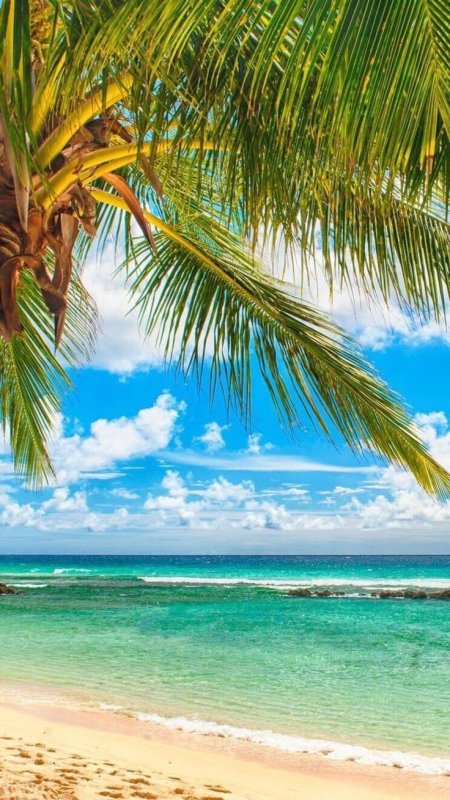 Красивый пляж