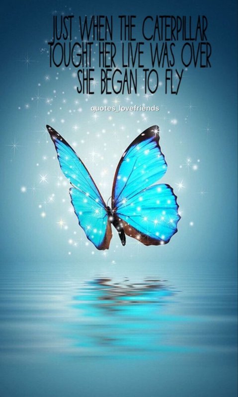 Самсунг галакси Butterfly