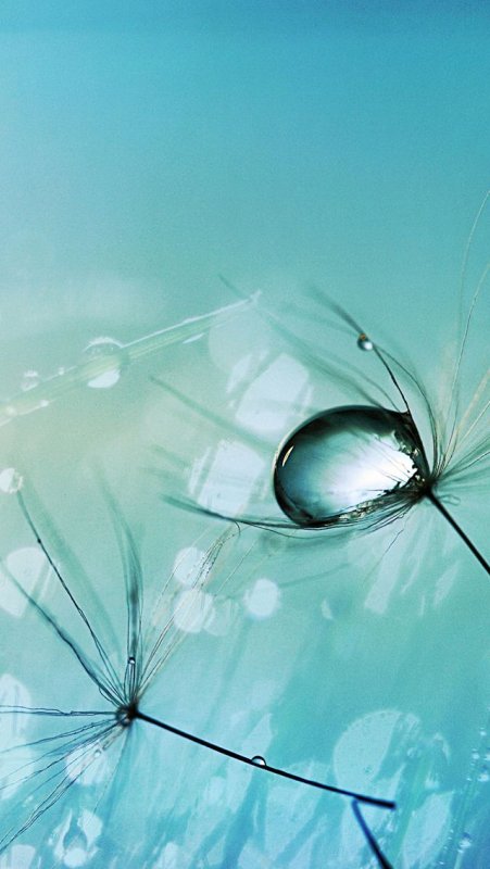 Стильные обои на телефон