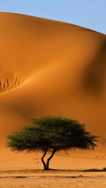 Африканская пустыня