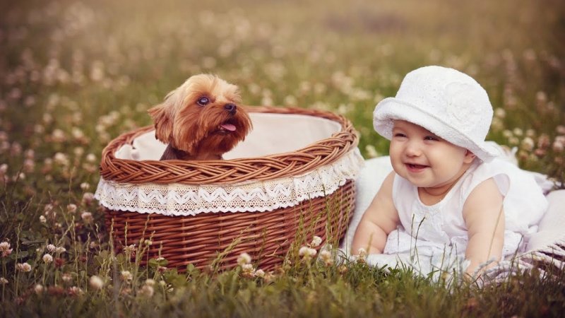 Заставка на рабочий стол дети