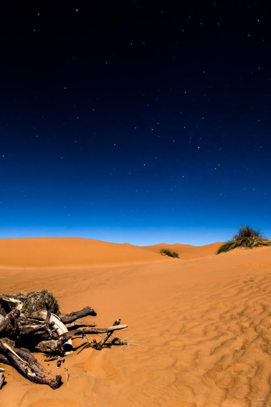 Заставка на телефон пустыня