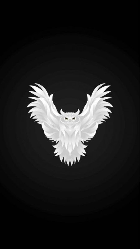 Белая Сова на черном фоне