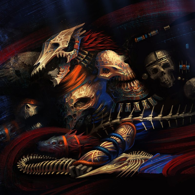 Картинки на рабочий стол скелет