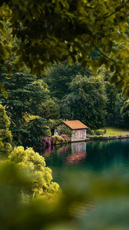 Дом в лесу у озера