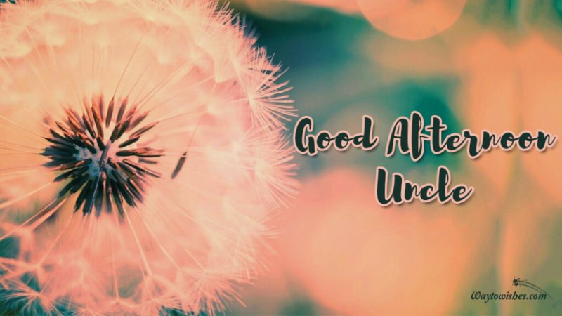 Фон одуванчики