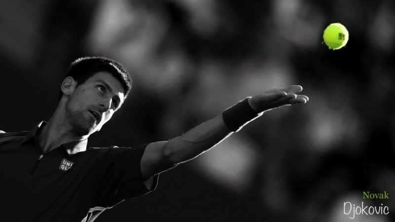 Новак Джокович 2011
