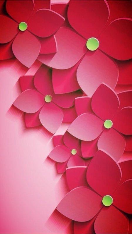 Ярко розовые цветы