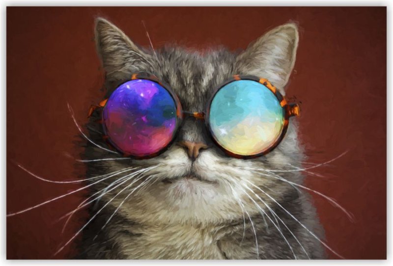 Крутые коты