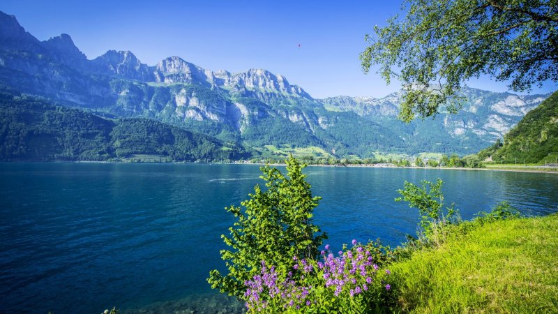 Озеро в Швейцарии валензе