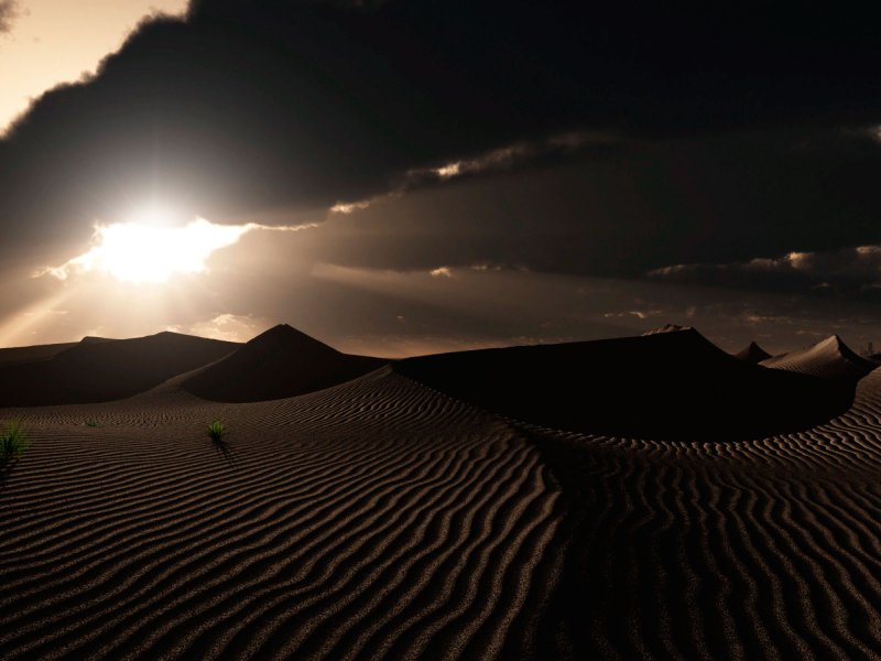 Дюна пустыня