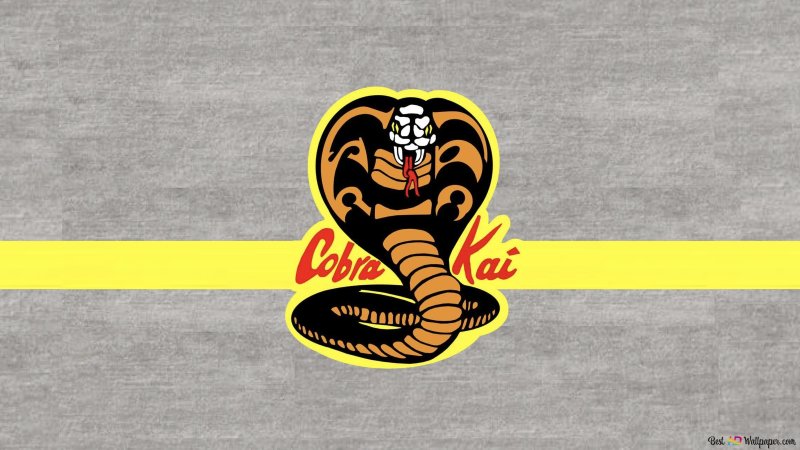 Каратэ ястреб Кобра Кай
