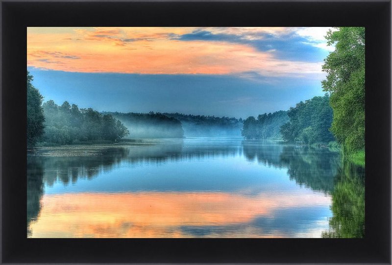 Река Волга лес