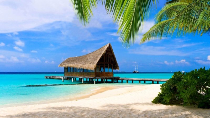 Мальдивы песок пальмы бунгало