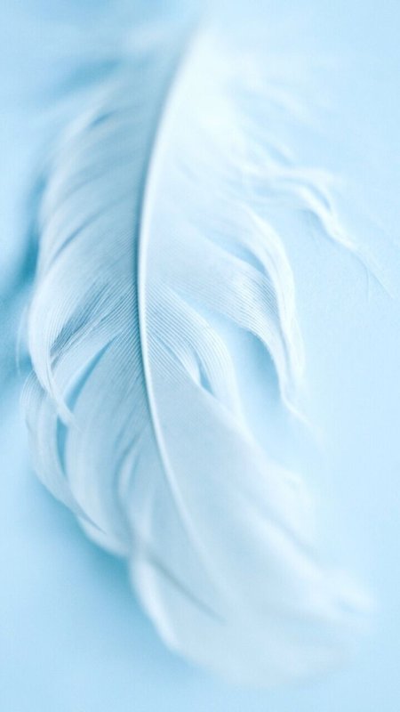 Бирюзовый фон