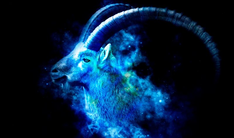 Козерог картинки