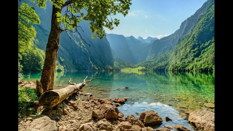 Заставка природа