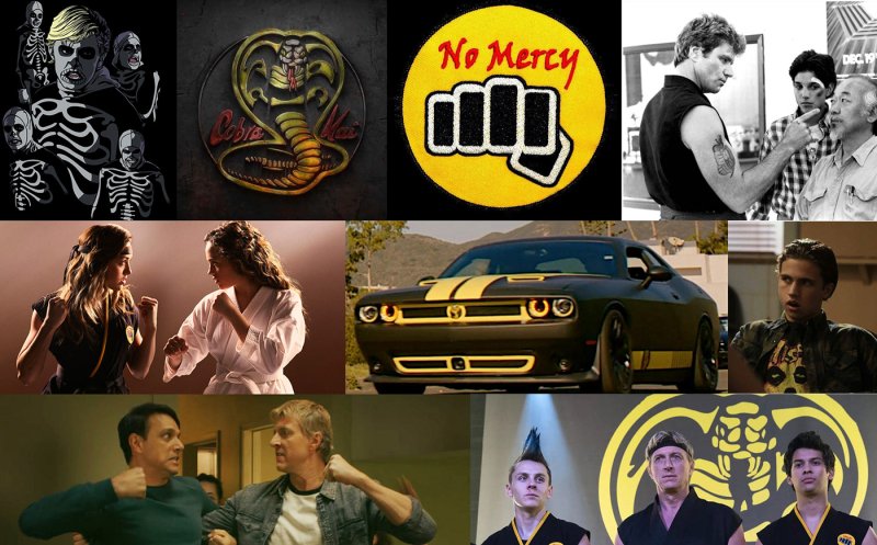 Кобра Кай Мигель и ястреб