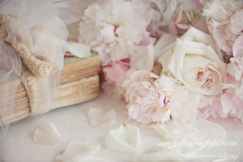 Бежевые цветы