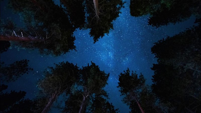 Ночное небо