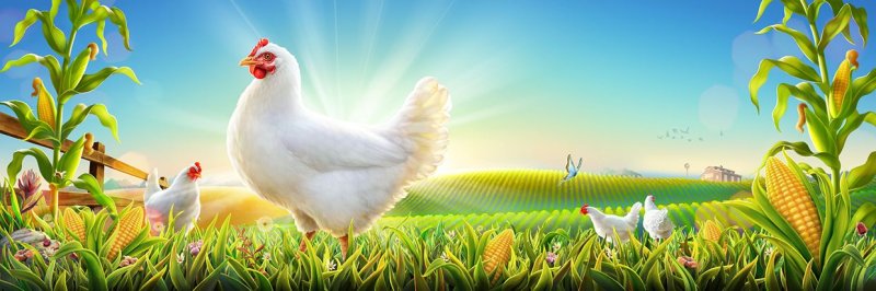 Птицеферма фон