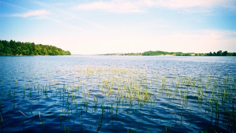 Река Волга фото