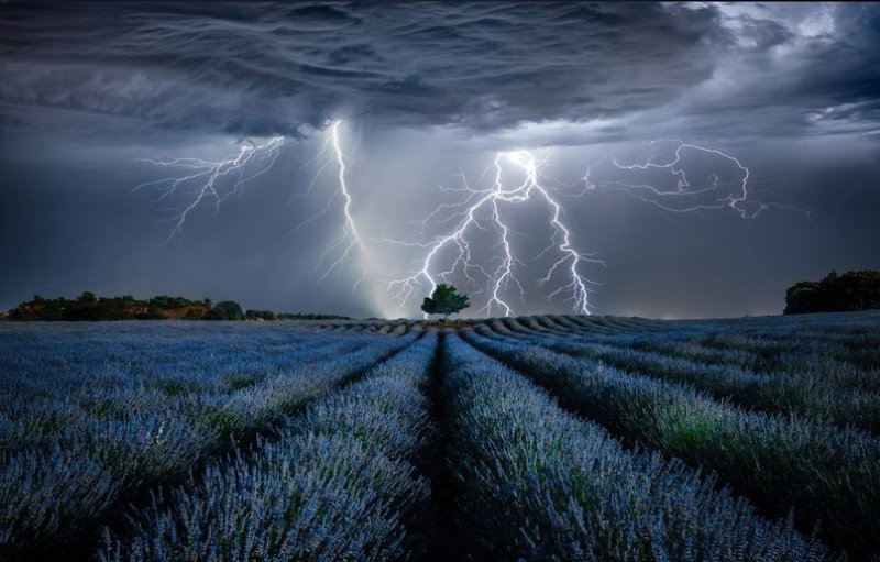 Гроза в поле