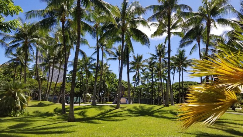 Парадиз остров Карибского моря