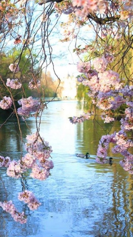 Весенний пейзаж