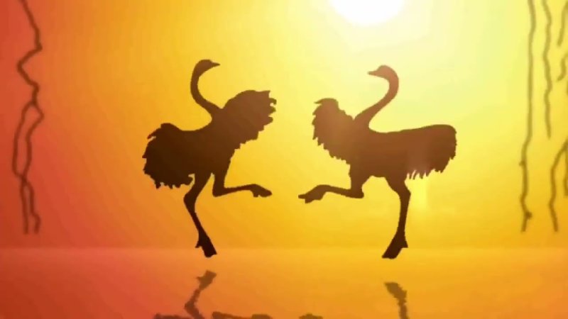 В мире животных телепередача